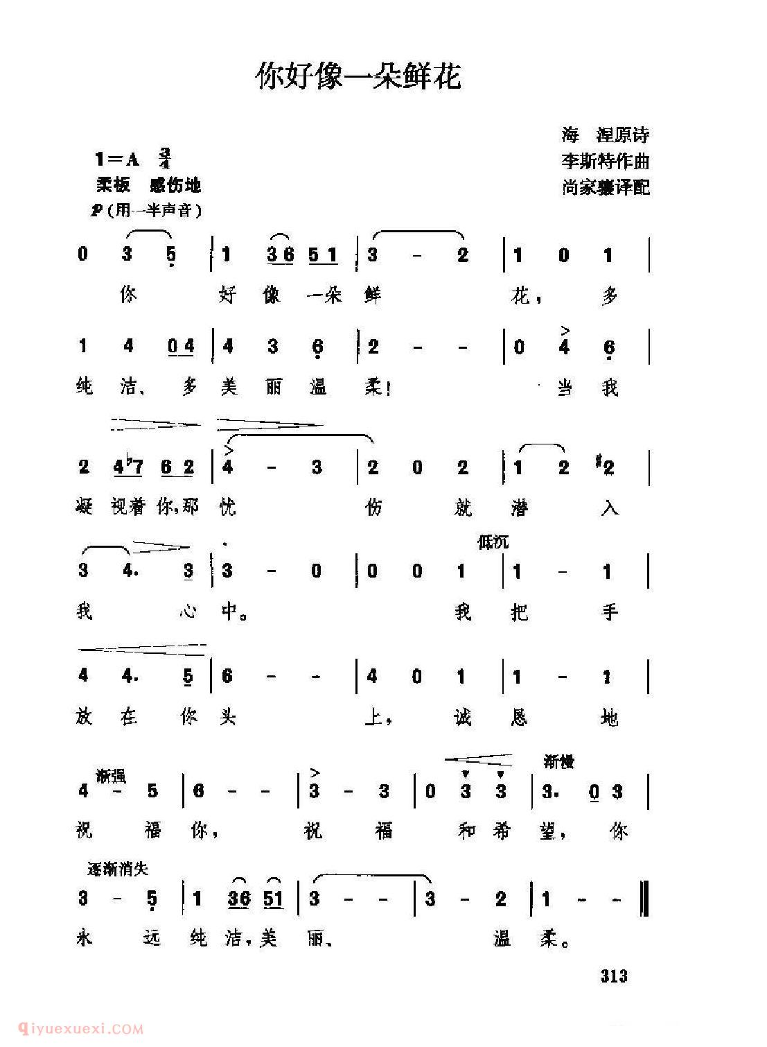 外国情歌简谱[你好像一朵鲜花]
