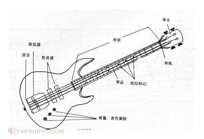 贝司历史与特色简介 西洋乐器贝司图片及演奏方法介绍