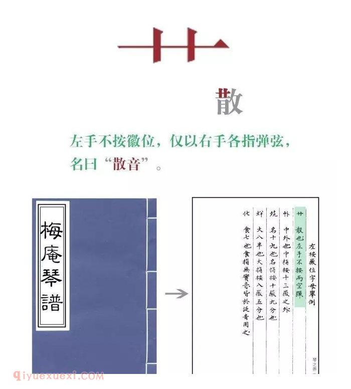 琴百科 <wbr>| <wbr>一张图带你了解音位谱字