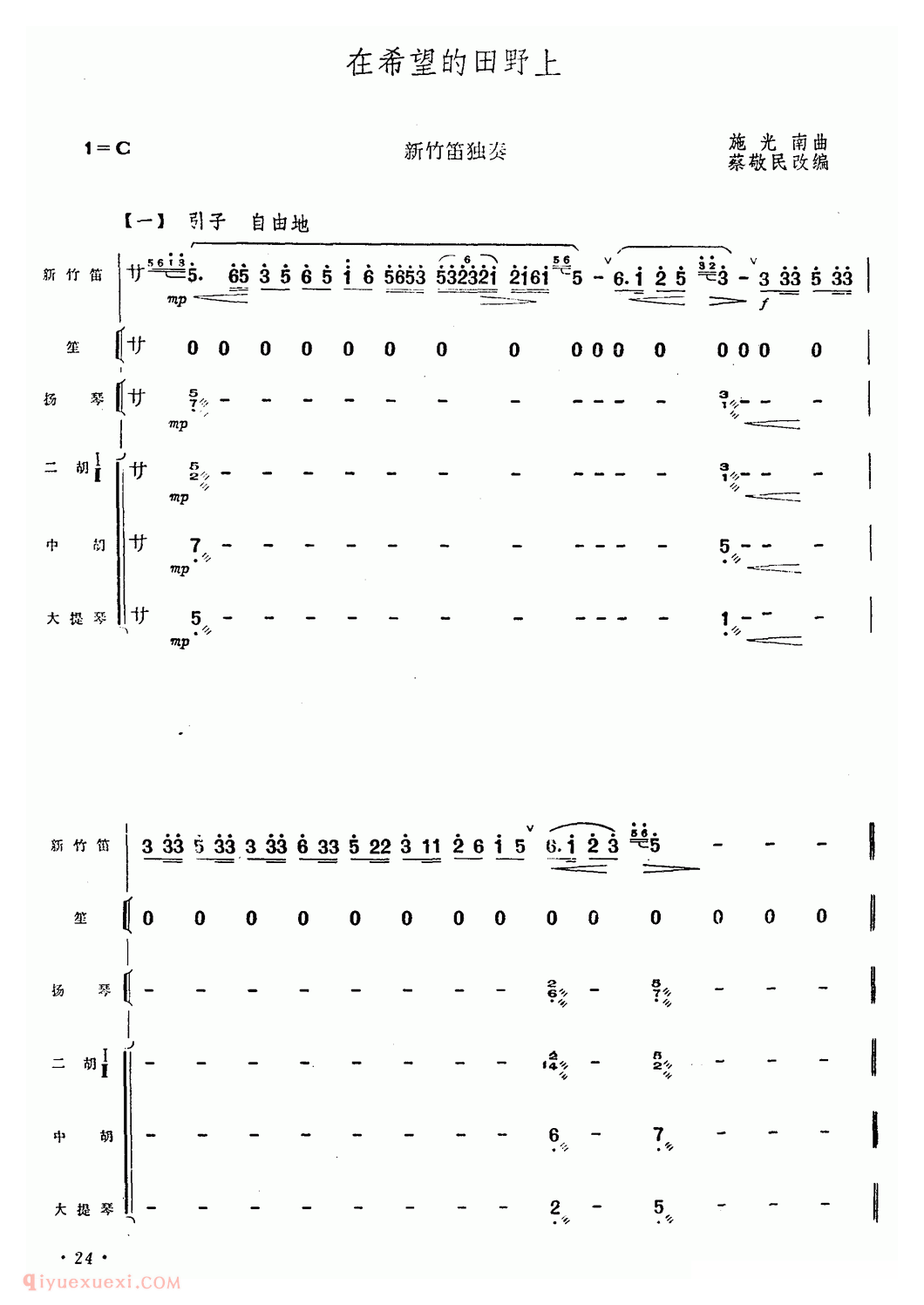 洞箫乐曲【在希望的田野上 乐队伴奏】简谱