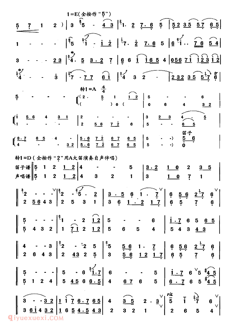 洞箫乐曲【兵车行】箫十级考级曲目简谱