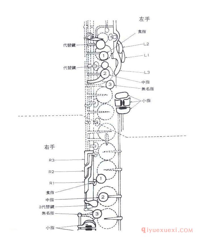 乐器结构介绍