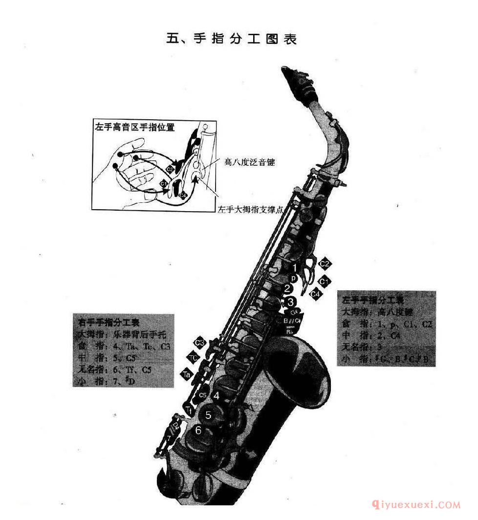 萨克斯手指分工图表