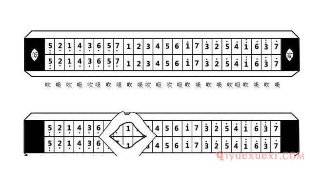 复音与十孔及半音阶口琴的音阶及吹吸排列图解