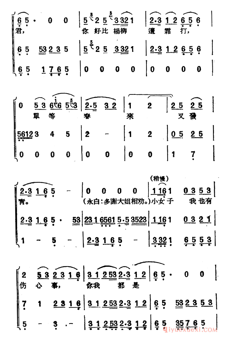 黄梅戏曲调[天仙配/路遇之二]唱片选辑类