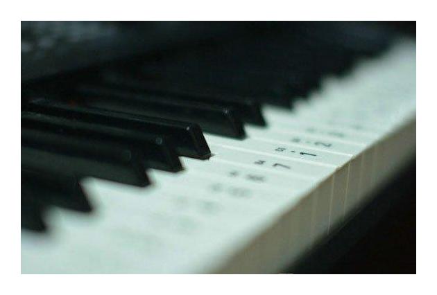 辨析钢琴与电子琴的学习
