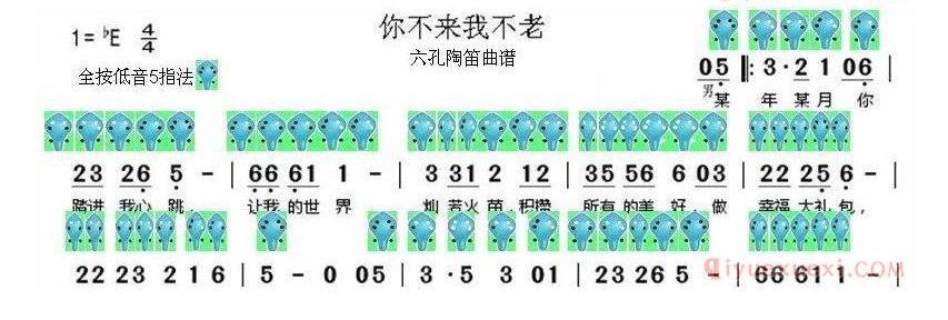 6孔陶笛谱子《你不来我不老》