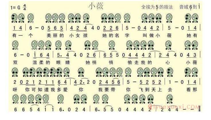 6孔陶笛谱子《小薇》