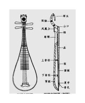 琵琶结构简介