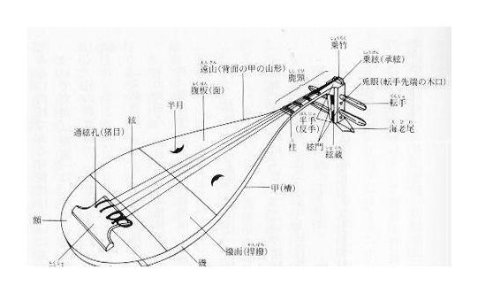 琵琶的品与相介绍