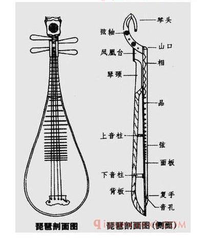 琵琶构造图文详解