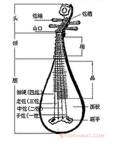 琵琶构造详解