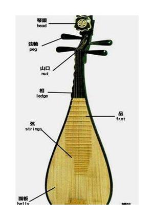 琵琶构造详解