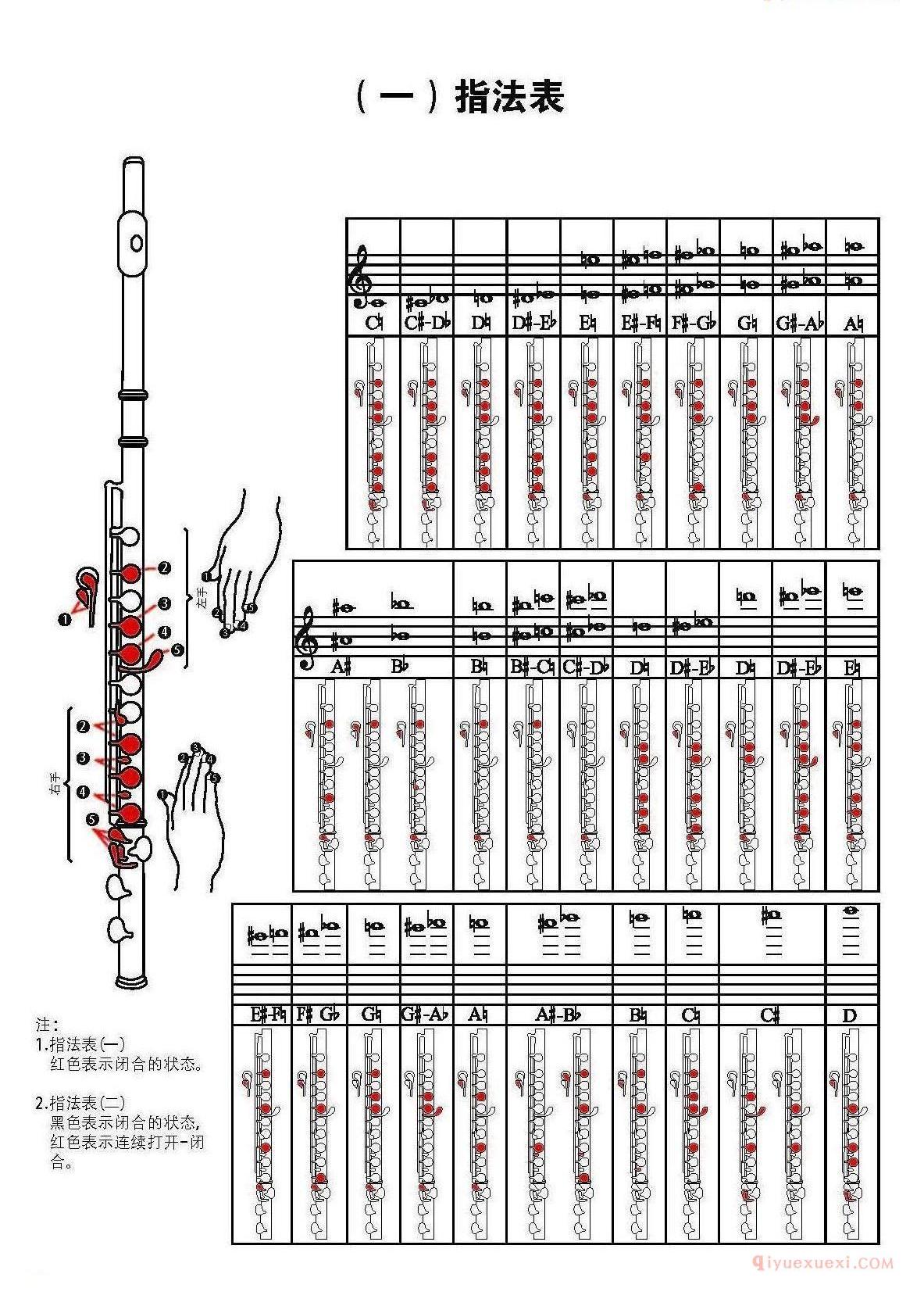 长笛左右手指法表图示