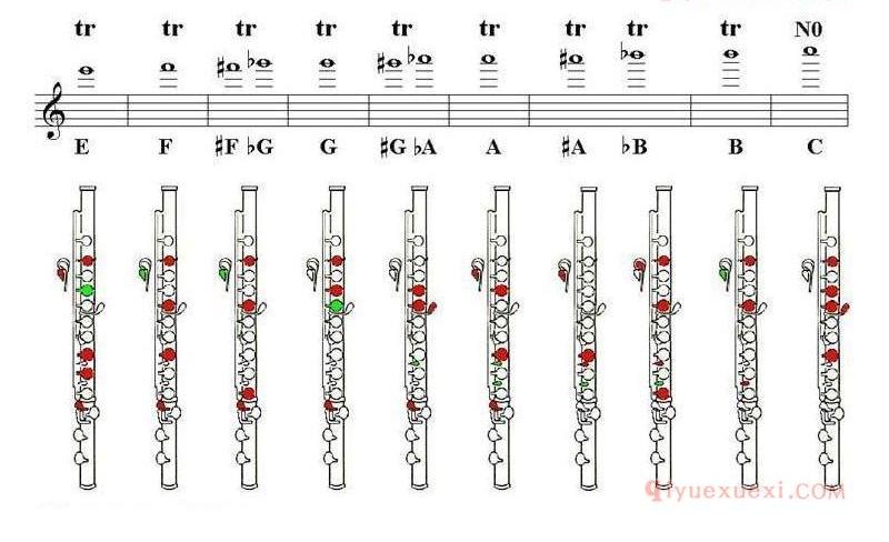 长笛指法图/Trill Fingering 