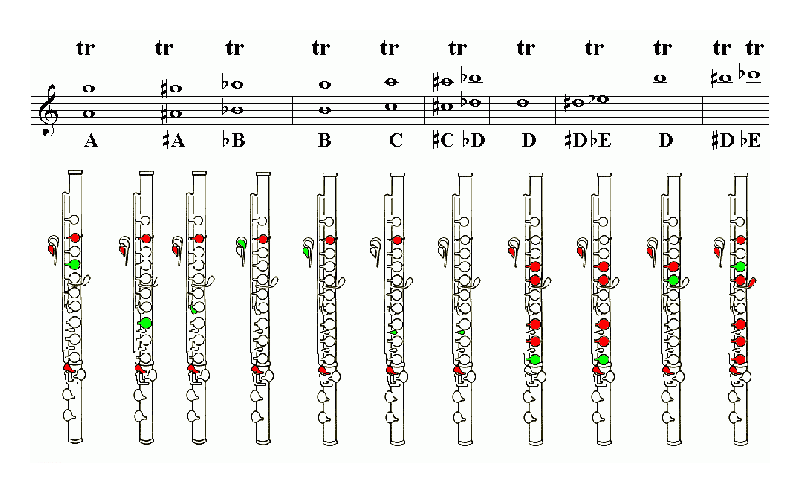 长笛指法图/Trill Fingering 