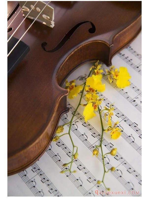 自学小提琴须从以下方面努力