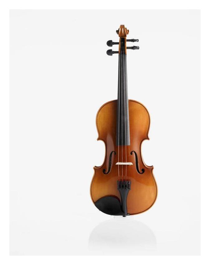 小提琴护理十要点总结 