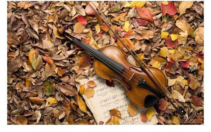 如何鉴别小提琴的品质？