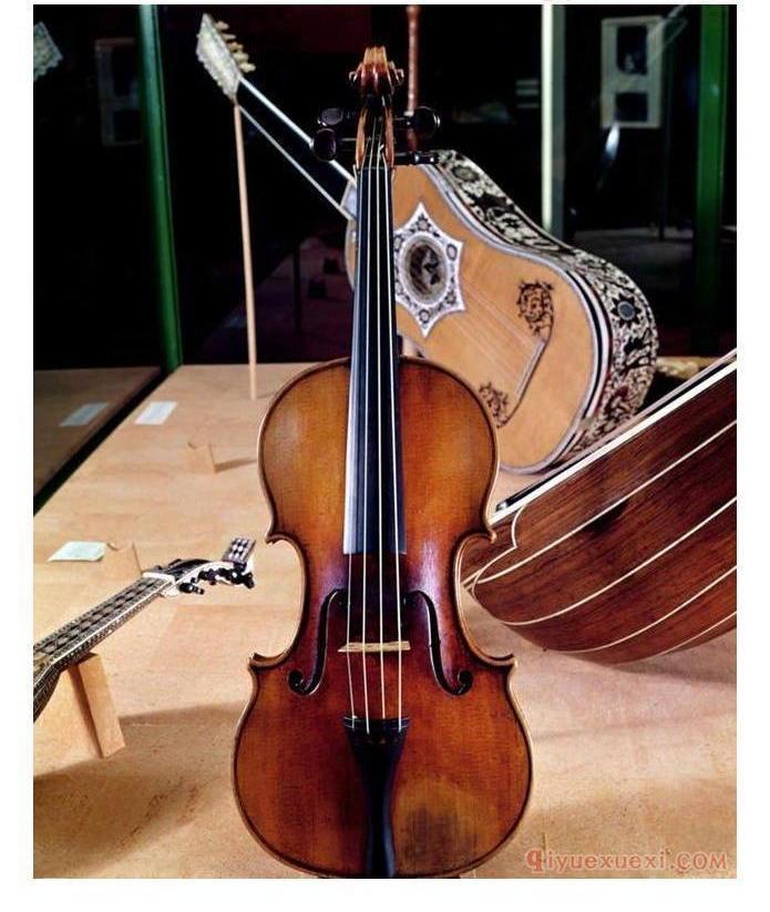 小提琴面板的年轮