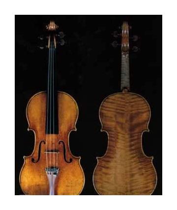 1714年 小提琴作品“Dolphin”