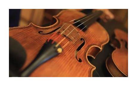 制作材料对小提琴音质的影响