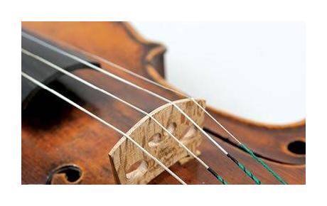 琴弦是小提琴发音的声源
