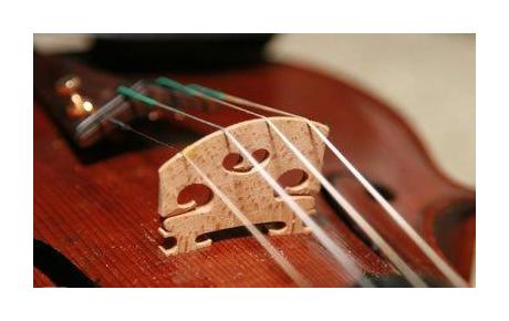 如何挑选小提琴琴码适合自己的琴用