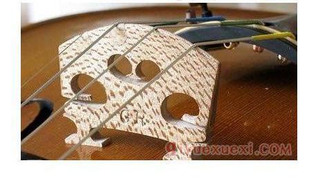 小提琴琴码木材与木质改性处理