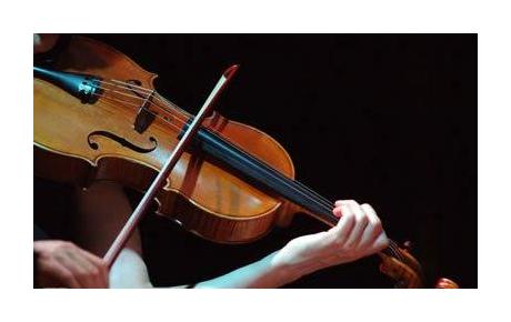 小提琴左手手型常见问题和解决方式研究