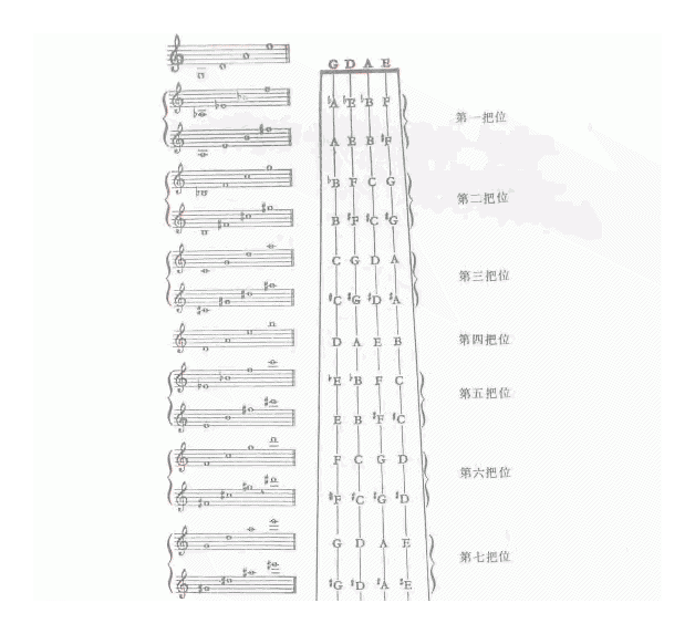 小提琴把位及其划分