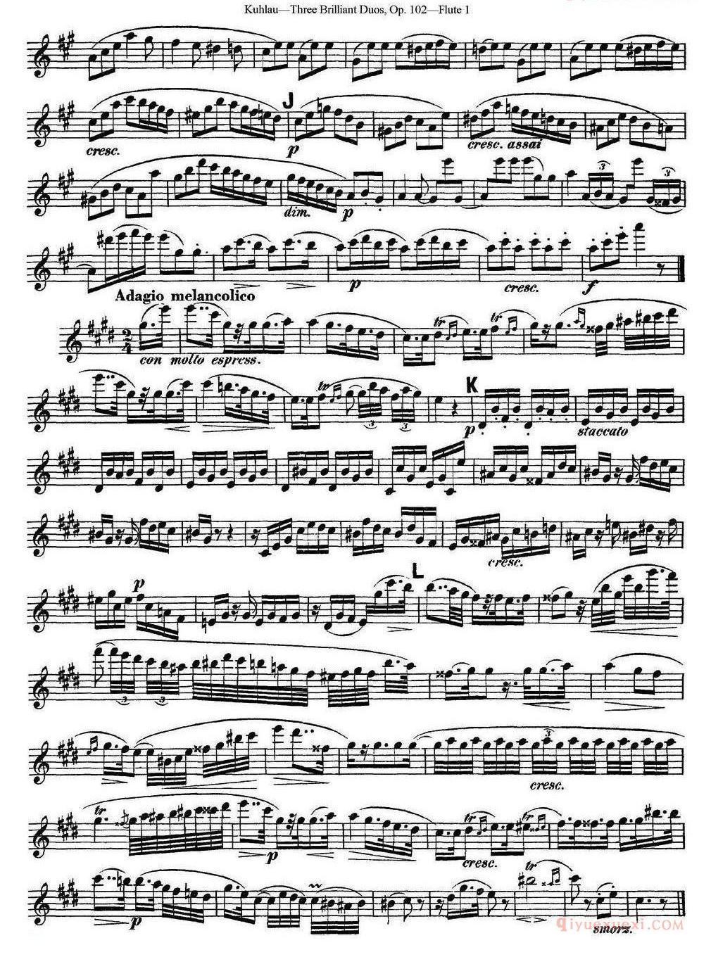 库劳长笛二重奏练习三段OP.102——Flute 1（NO.3）