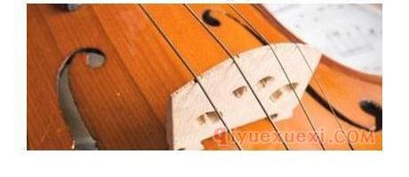 羊肠弦、钢丝弦、尼龙弦三大类提琴琴弦比较