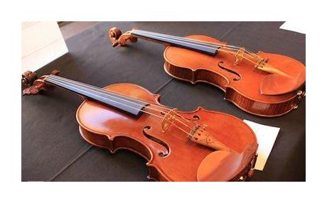 新入手需知的小提琴保养方法