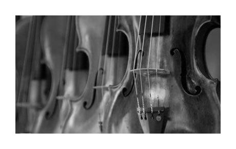 阴雨绵绵潮湿季节小提琴保养该如何进行？