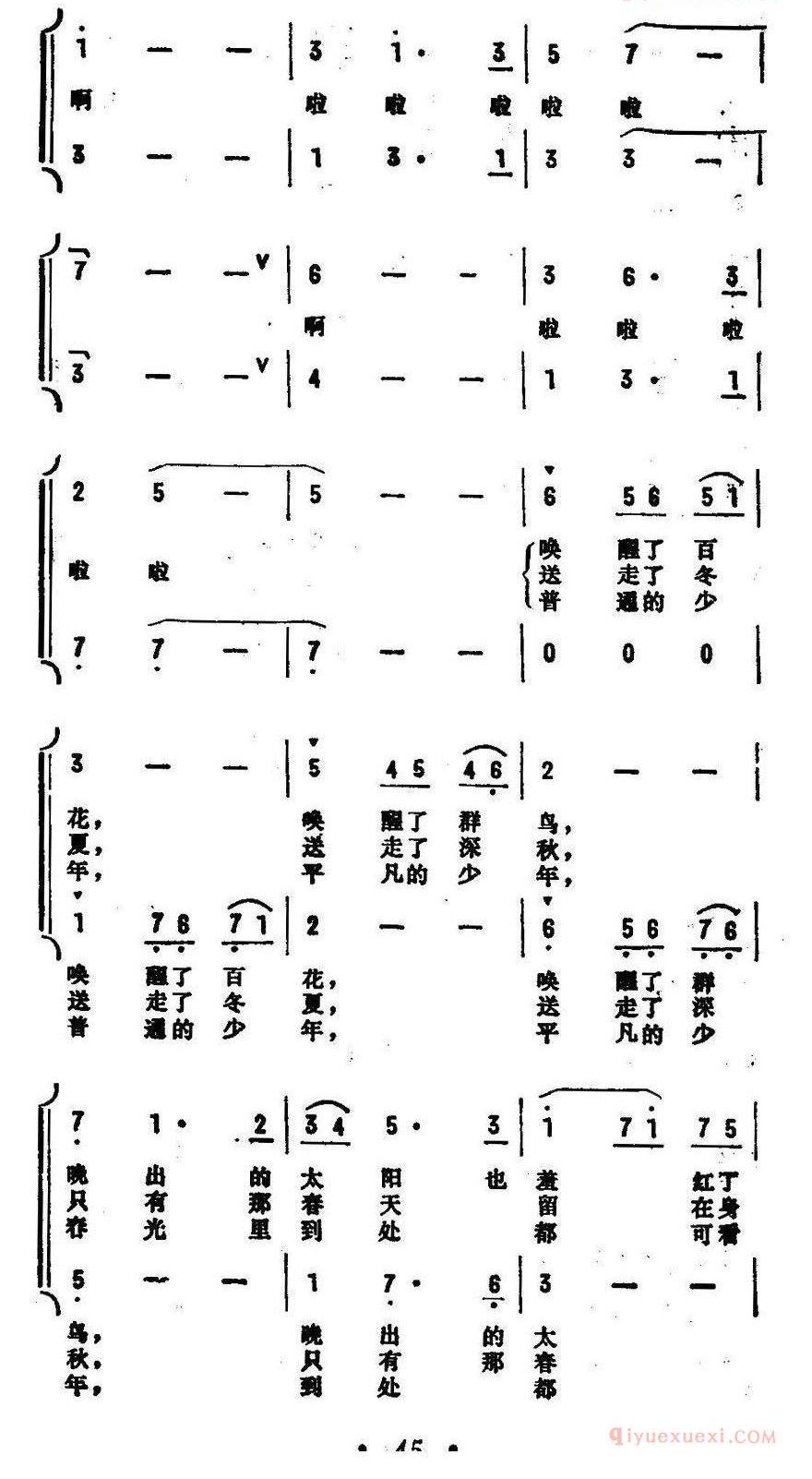 儿童歌曲简谱[有这样一位少年]红花少年组歌之三、合唱