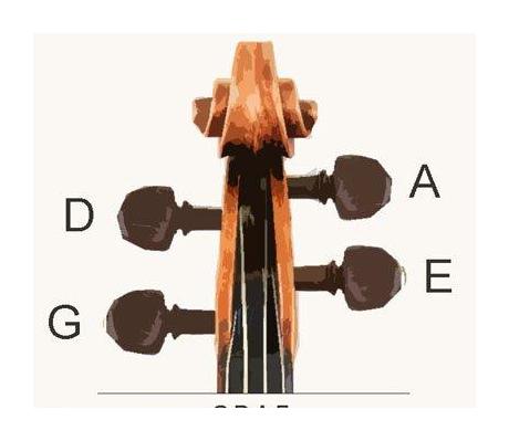 小提琴结构《弦轴》介绍