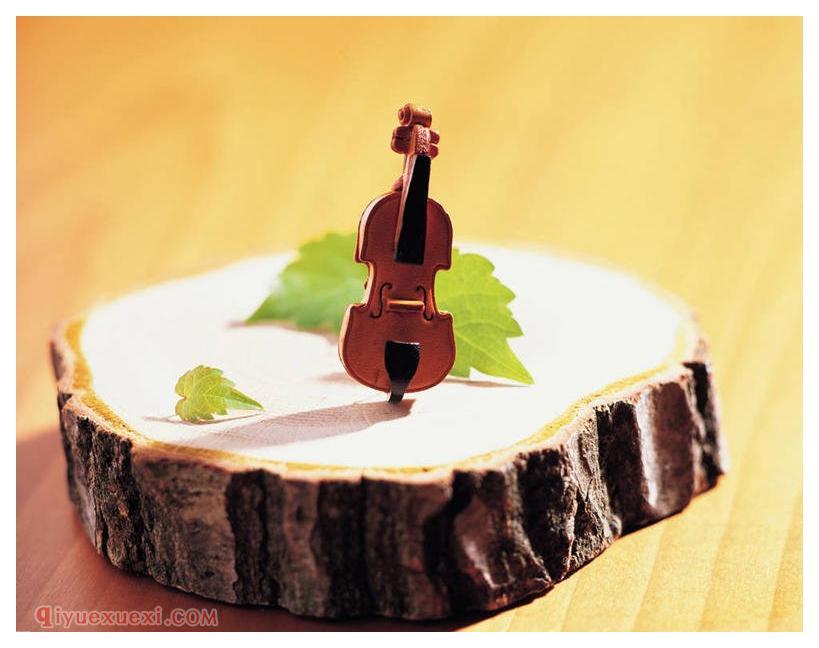 小提琴基础训练指导