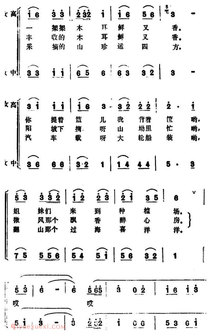 合唱歌曲[丰收的木耳鲜又香/女声小合唱]简谱