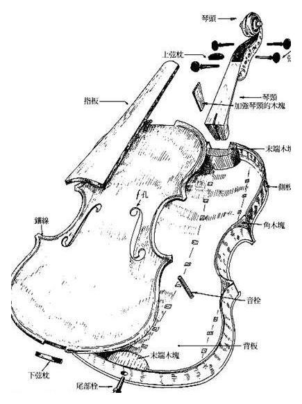 大提琴结构组成简介