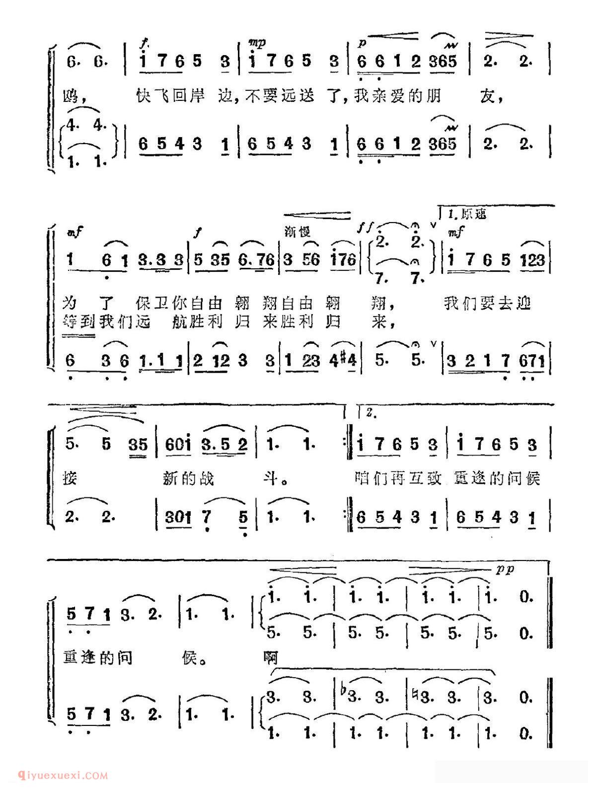 合唱歌曲《不要远送了，洁白的海鸥》简谱