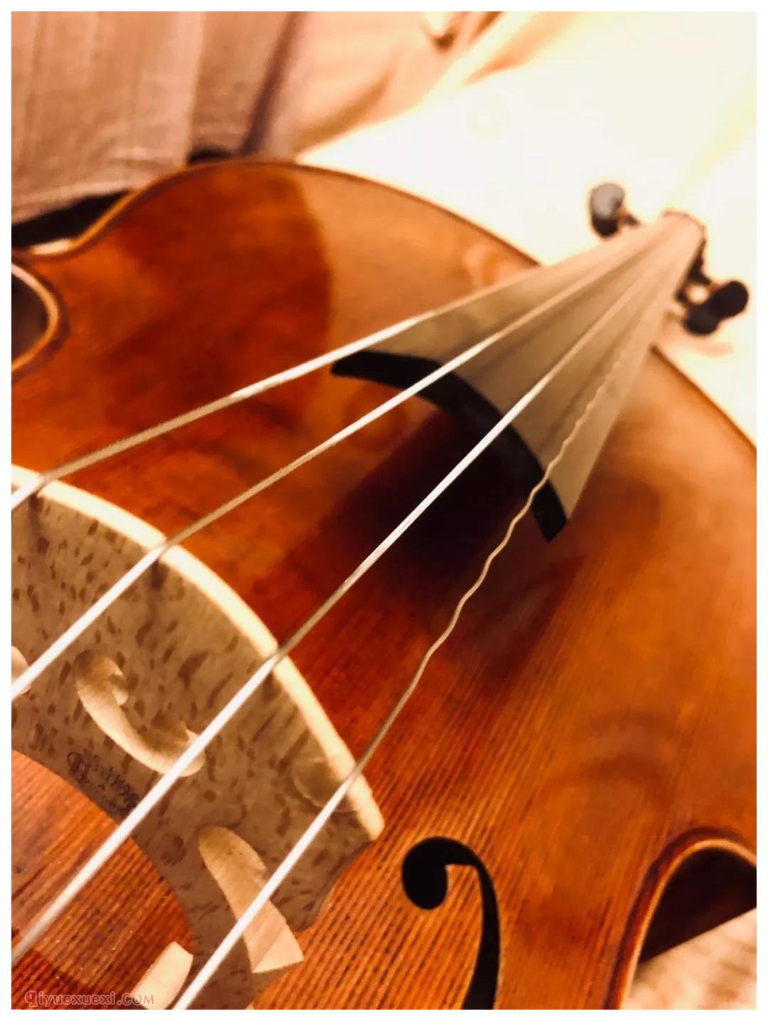 Warchal大提琴弦体验