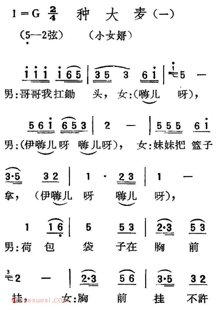 扬剧曲牌《种大麦 一/小女婿》简谱