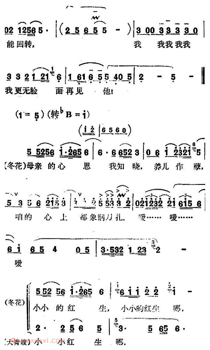 歌剧《红云崖》选曲：母亲的心