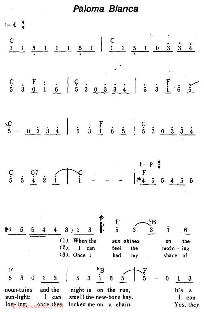 简谱《Paloma Blanca/白兰鸽、带和弦》美国