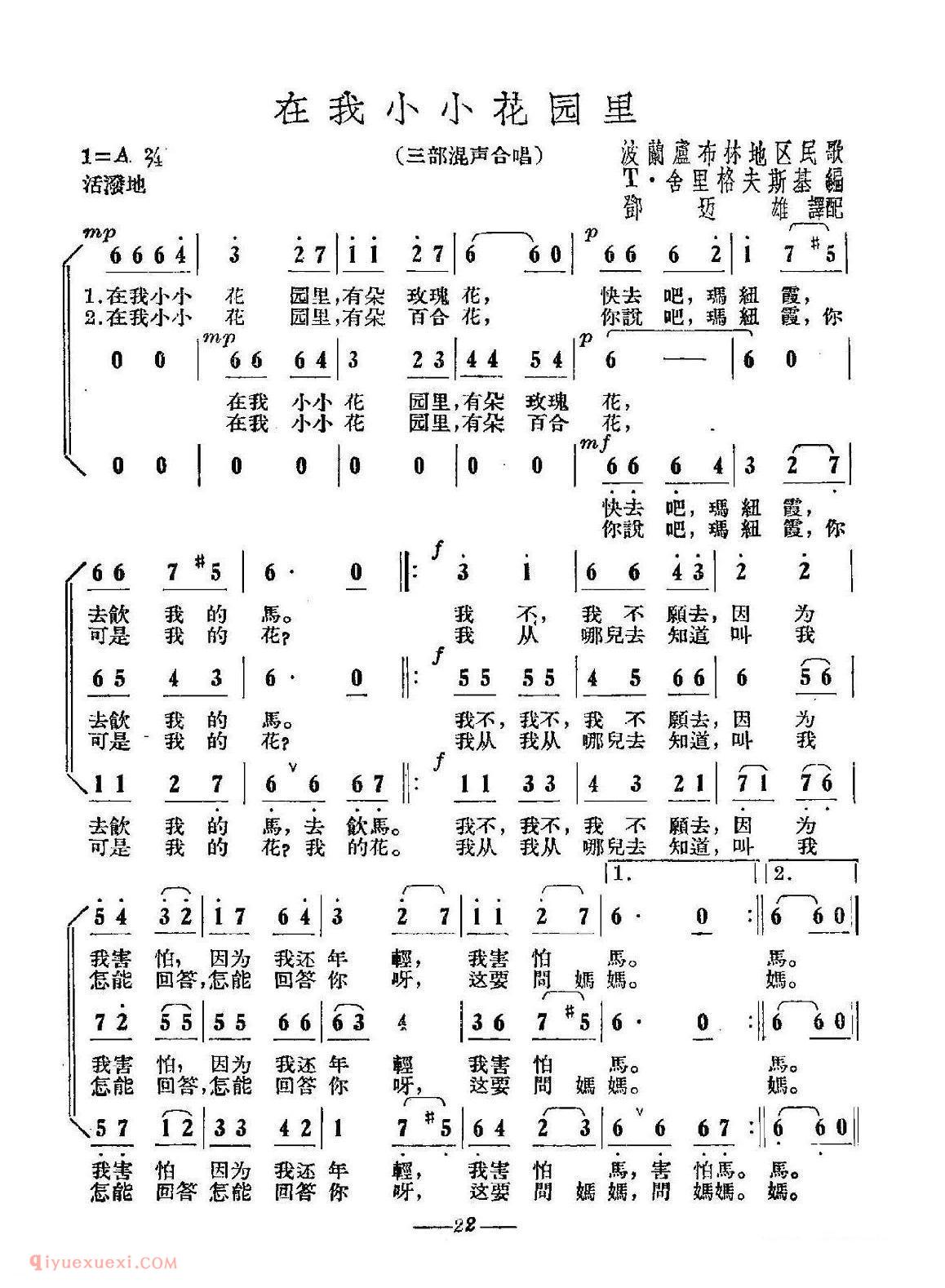 在我小小花园里 合唱 | 波兰