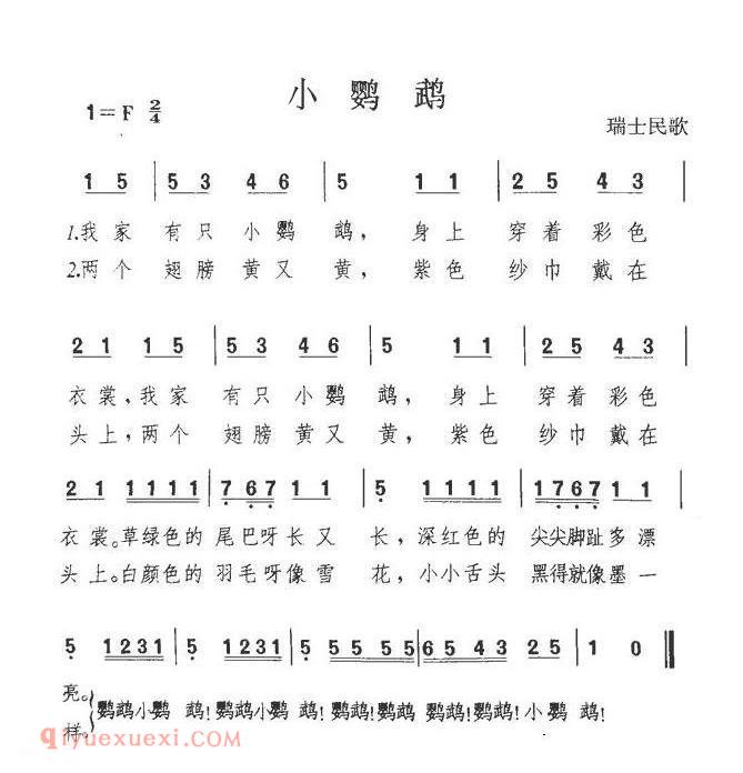 小鹦鹉 | 瑞士