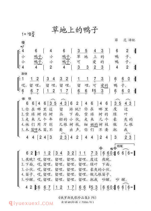 草地上的鸭子 | 俄罗斯