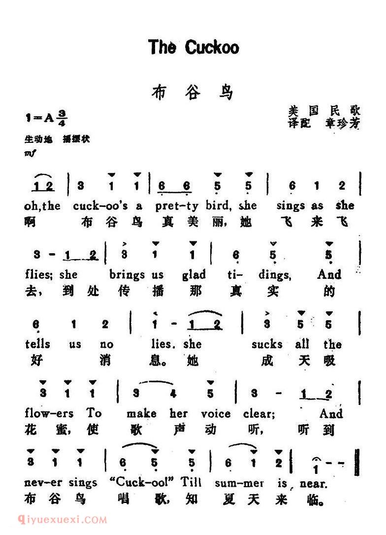 美国 | 布谷鸟 The Cuckoo | 简线混排