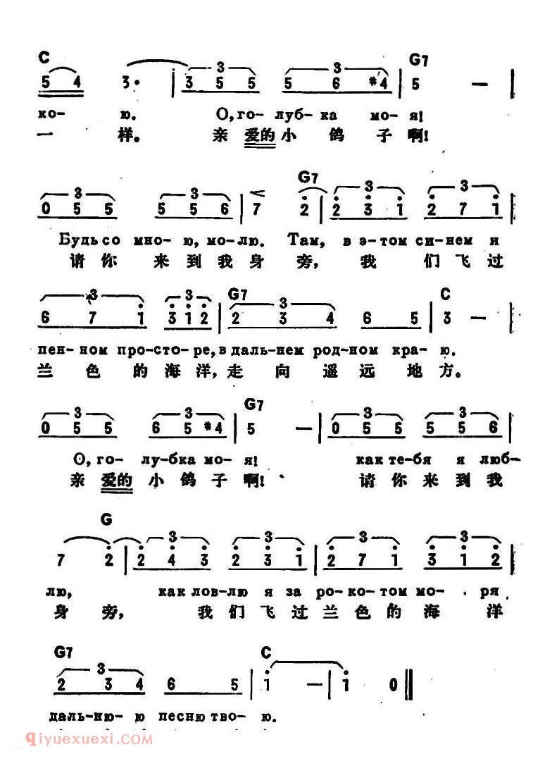 前苏联 | 鸽子 | 简线混排